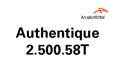 Authentique 2.500.58 T